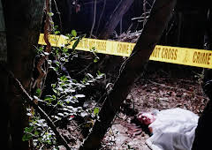 Murder Comes to Town