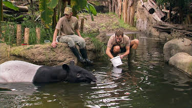 14:25: Elefant, Tiger & Co. | MDR Fernsehen | 4/16 2026
