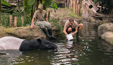 Elefant, Tiger & Co.