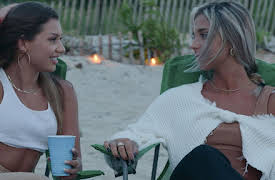 Forever Summer: Hamptons: The Summer With The Cidiot