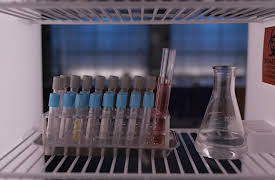 Cold Case Files: DNA Speaks Season 1: Killed for the Cash