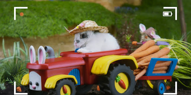 17:20: Rosin og Bolle: Gulrøttene mine! | NRK Super | 1/17 2026