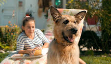 Racko - Ein Hund für alle Fälle