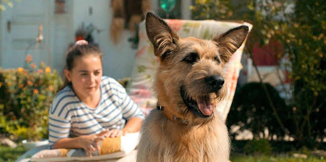 07:30: Racko - Ein Hund für alle Fälle | MDR Fernsehen | 11/15 2025