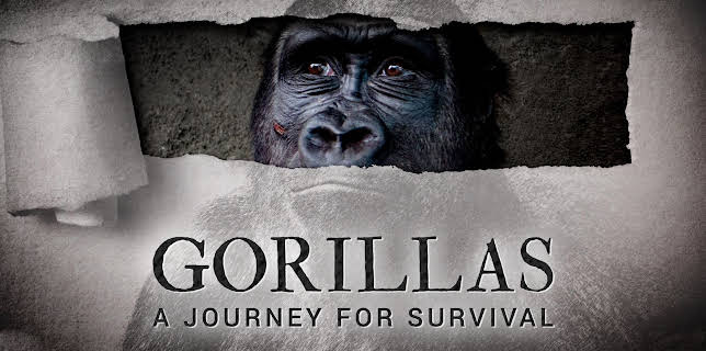 Gorillas A Journey For Survival (2008)