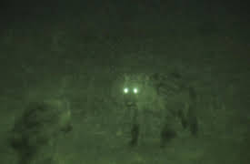 Night Season 1: Hyenas