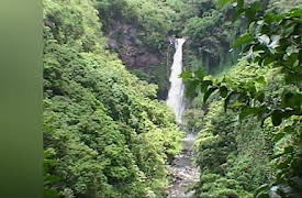Great Drives: Hawaii: Maui