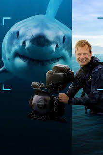 19:45: Tiburones en primer plano con Bertie Gregory | Nat Geo Wild | 4/2 2026