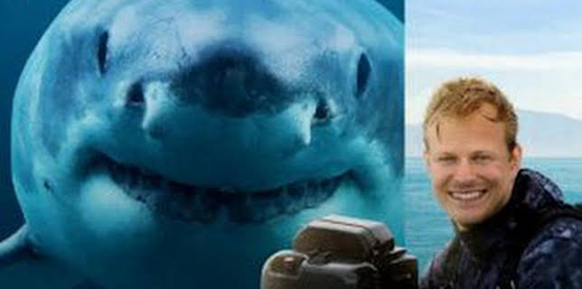 08:45: Tiburones en primer plano con Bertie Gregory | Nat Geo Wild | 12/13 2025