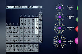 Understanding the Periodic Table: Halogens: The Most Reactive Nonmetals