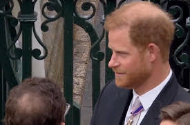 Lip Reading the Royals: Lip Reading the Royals Ep1