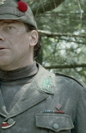 Fabio Sartor as 