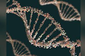 Life in Our Universe: Origin of Terrestrial Life