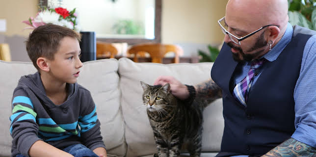 16:00: My Cat From Hell (S8 E9) (S8) | Animal Planet | 11/29 2025