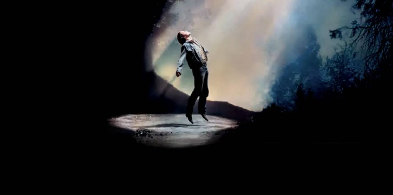 Fire in the Sky (1993)