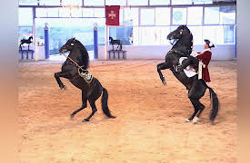 Discovering the World: Menorca - The Riders of San Juan