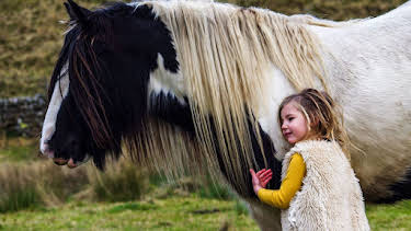 4:00 PM: Our Yorkshire Farm (S3 E2) (S3) | Channel 5 | 2/7 2026