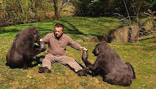 Panda, Gorilla & Co. (59)