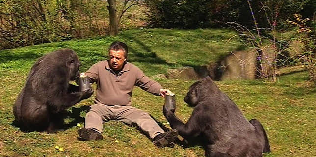 17:05: Panda, Gorilla & Co. (59) | RBB Fernsehen | 1/28 2026