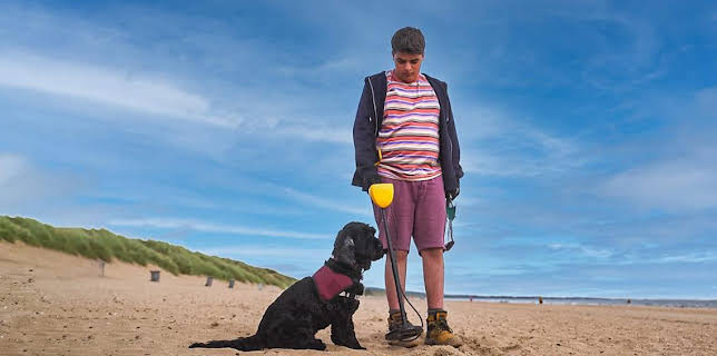 12:25 PM: Dog Squad (S2) | Cbeebies | 2/3 2026