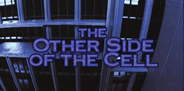 The Other Side of the Cell (2006)