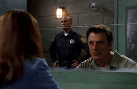 The Good Wife, Season 1: Painkiller