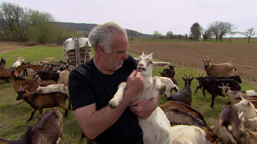 06:30: Tiere auf dem Land - Erinnerungen an das Dorfleben im Südwesten | SWR Fernsehen BW | 10/3 2026