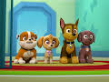 PAW Patrol