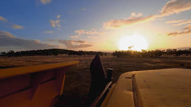 07:00: Guldjägarna i Australien (S8 E20) (S8) | TV10 | 4/28 2026