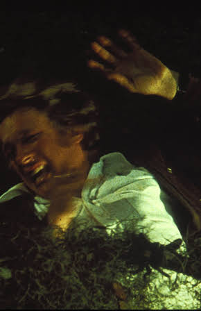 David Gilliam as 