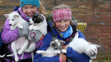 16:15: Villmarksbarna: Pizza på bålet | NRK Super | 4/27 2026