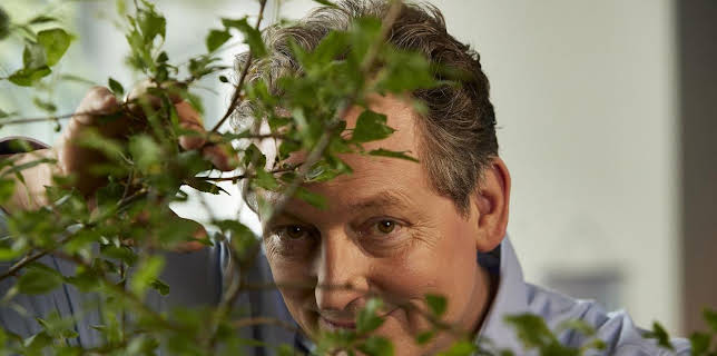 19:45: Wissen vor acht - Erde | Das Erste | 1/7 2026