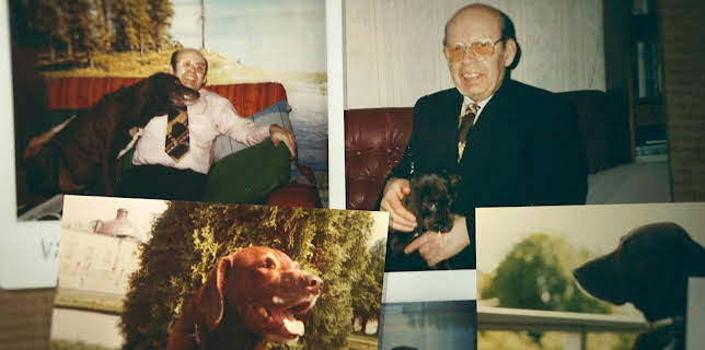 11:25: Ukjent arving: Sverige | NRK 2 | 1/23 2026