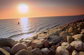 Beach Hunters: New England Coastal Home