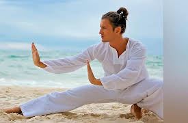 Essentials of Tai Chi and Qigong: The Ultimate Martial Art