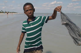 Splash and Bubbles: Get Your Feet Wet, Season 1: Ocean Friends Forever