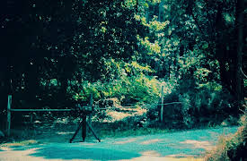 C.D.I. Código de Investigación season-1: C.D.I. Código de Investigación Programa 44