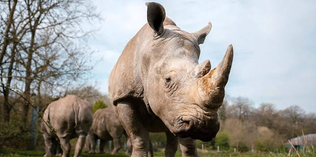 2:30 PM: Animal Park | BBC One | 1/12 2026