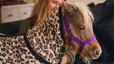 6:00 PM: The Secret World of Posh Pets (S1 E5) (S1) | W | 10/18 2026