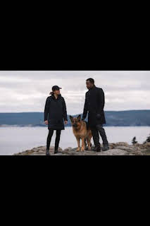 06:56: Hudson y Rex (T3): Ep.12 Perro jefe | AXN | 10/21 2026