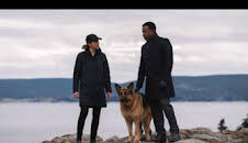 Hudson y Rex (T3): Ep.12 Perro jefe