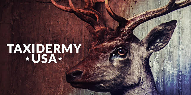 Taxidermy USA