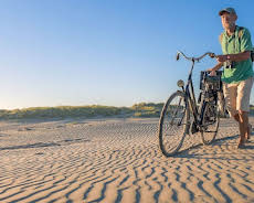 Leben an der Nordsee