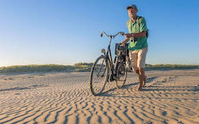 Leben an der Nordsee