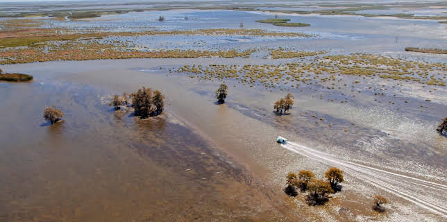 08:05: Der Mississippi - Die Seele Amerikas | HR Fernsehen | 1/17 2026