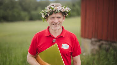 19:30: Postkodmiljonären med Sommarvinnare | TV4 | 8/8 2025