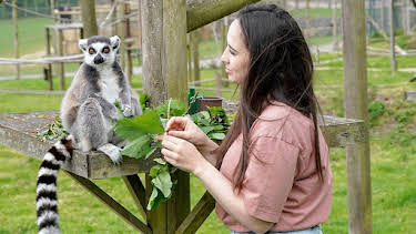 2:45 PM: Animal Park | BBC Two | 9/10 2026