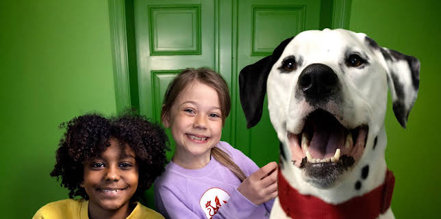 16:15: Dyredilla: Paitrøbbel | NRK Super | 1/21 2026