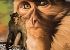 Cities: Nature's New Wild