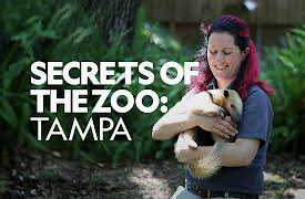 Secrets of the Zoo: Tampa Season 1: Bear Necessities